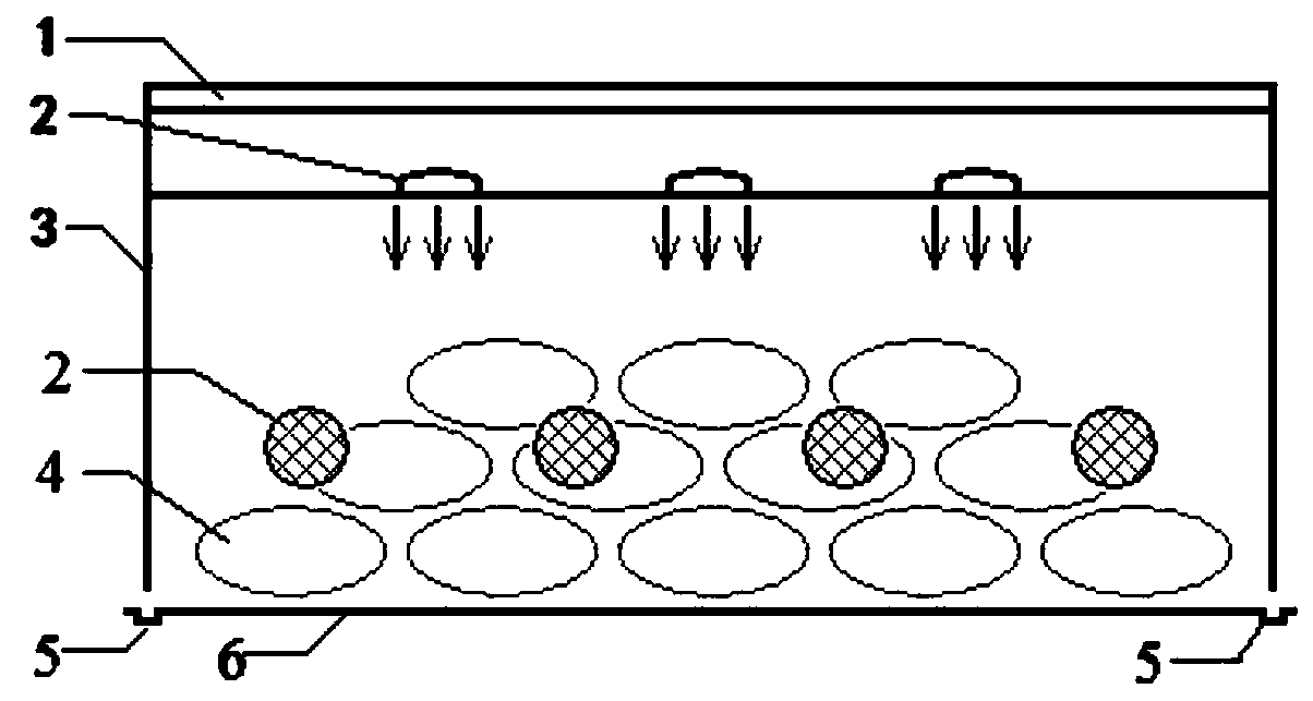 Field microwave processing device and method for harvested muskmelons