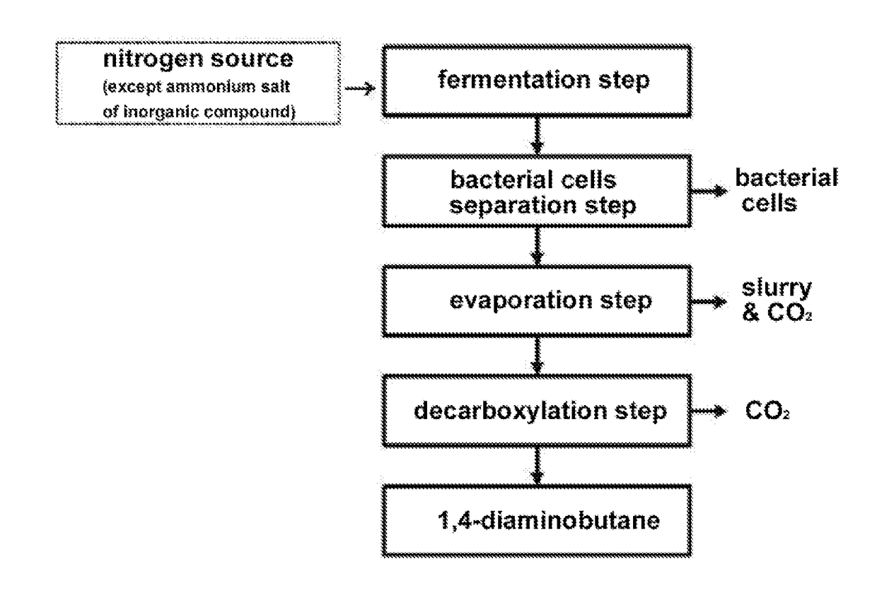 Method for purifying 1,4-diaminobutane