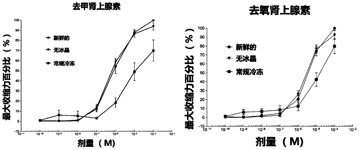 Blood vessel ice-crystal-free cryopreservation solution and blood vessel preservation method