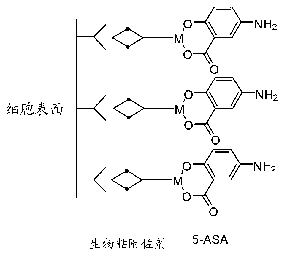 Bismuth-containing compounds for modulating properties of biologically active agents