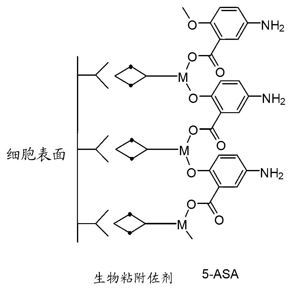 Bismuth-containing compounds for modulating properties of biologically active agents