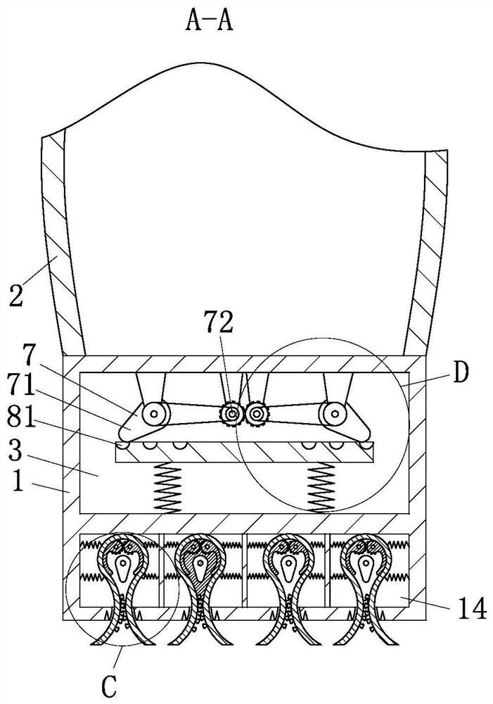 a sports shoe