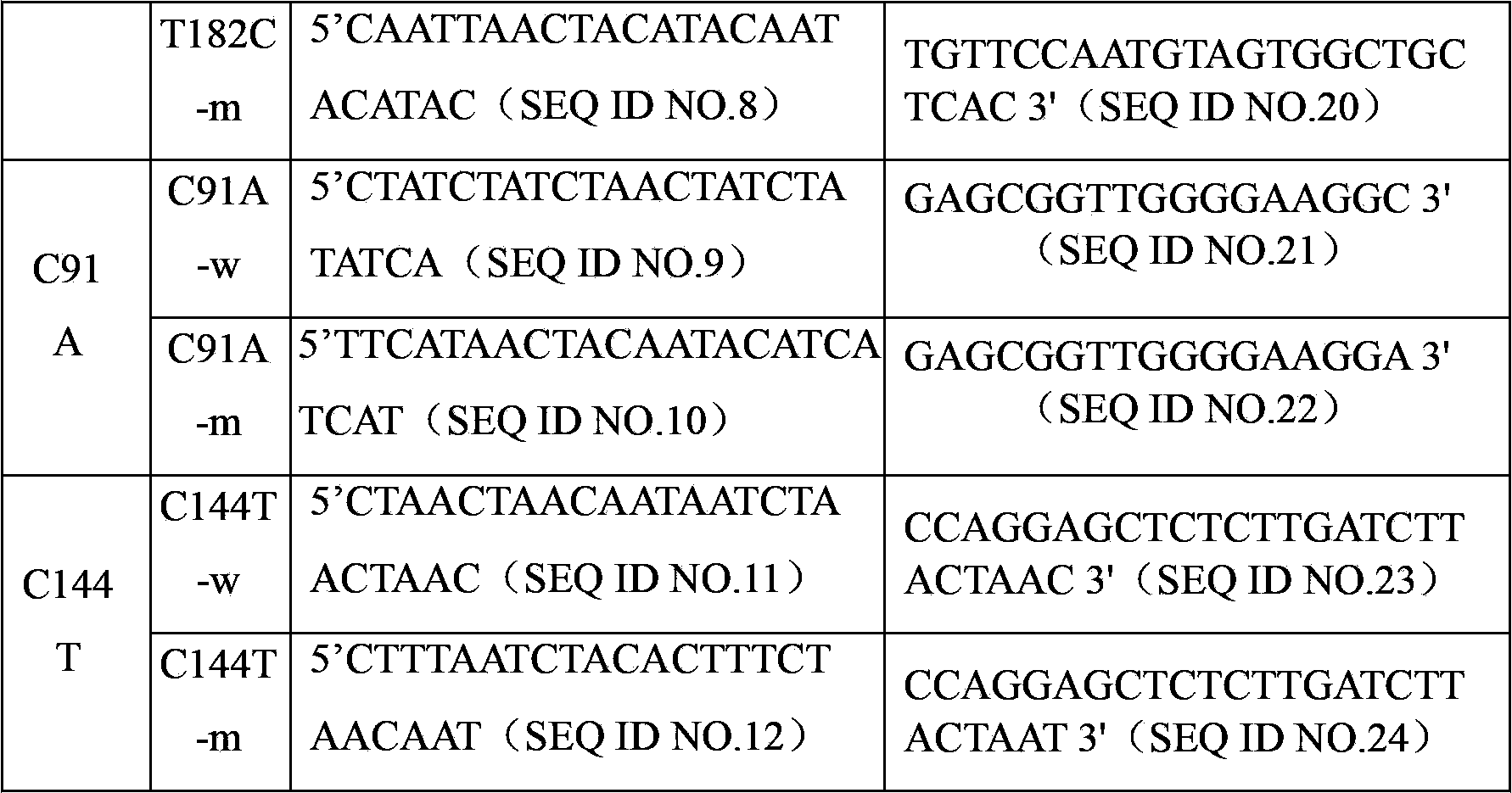 Specific detection primers and detection liquid phase chip for SLC22A3 gene mutation