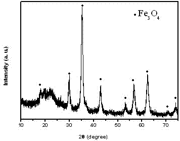 Graphene composite titanium dioxide photocatalyst capable of magnetic separation and recovery, and preparation method thereof