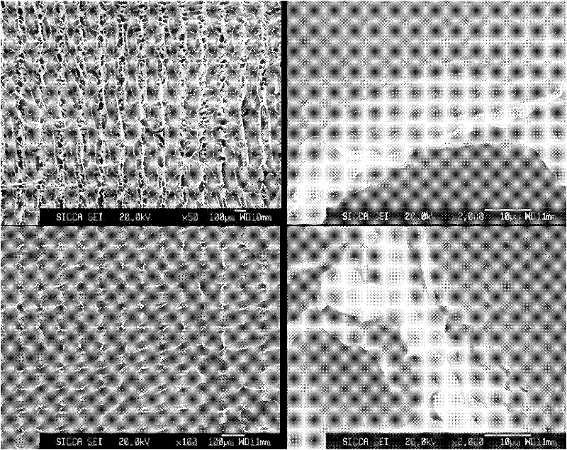 3D porous bracket with mesoporous biological glass coating and preparation method thereof