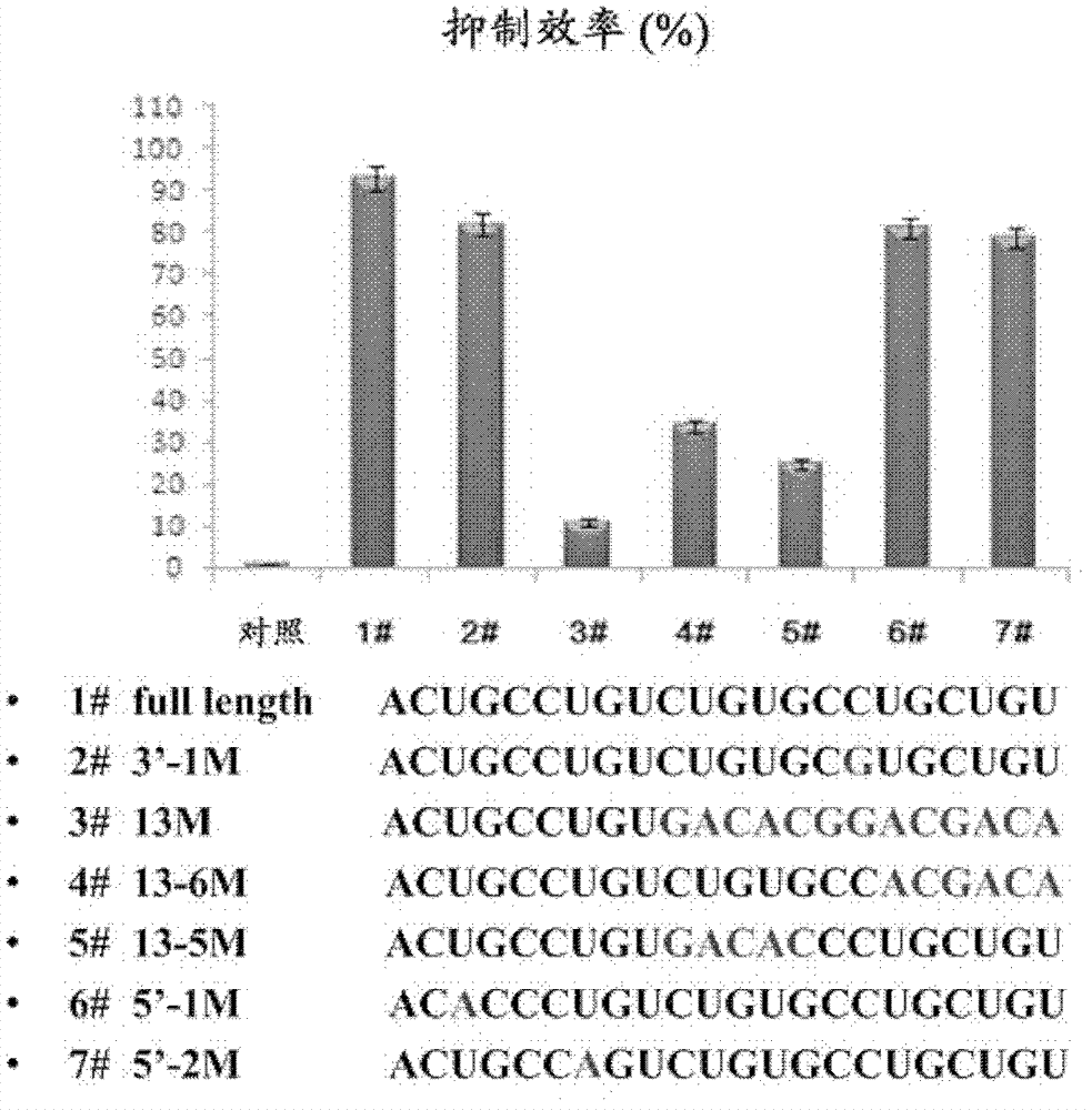 Medicament composition containing antisense polynucleotide targeting miR-214