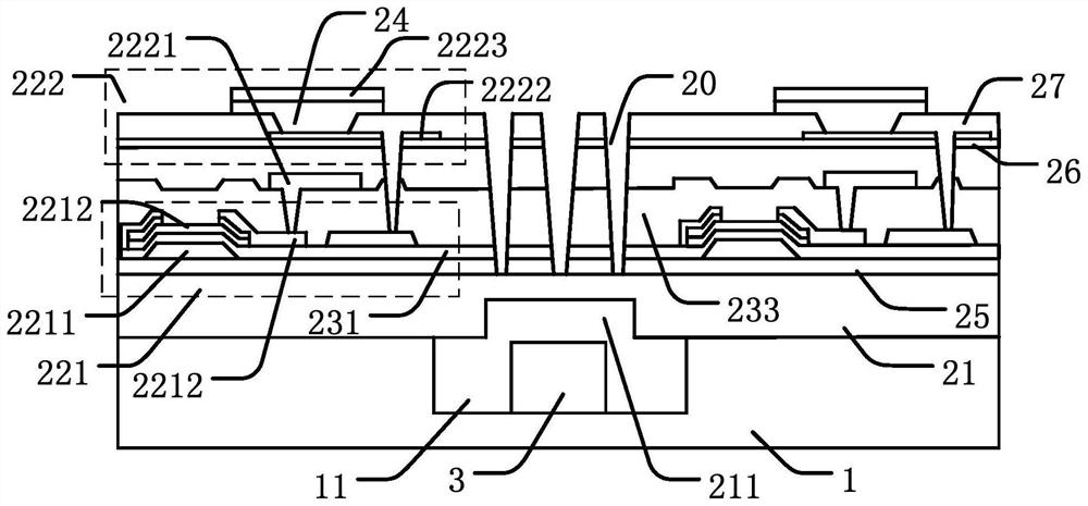 Display device and preparation method thereof