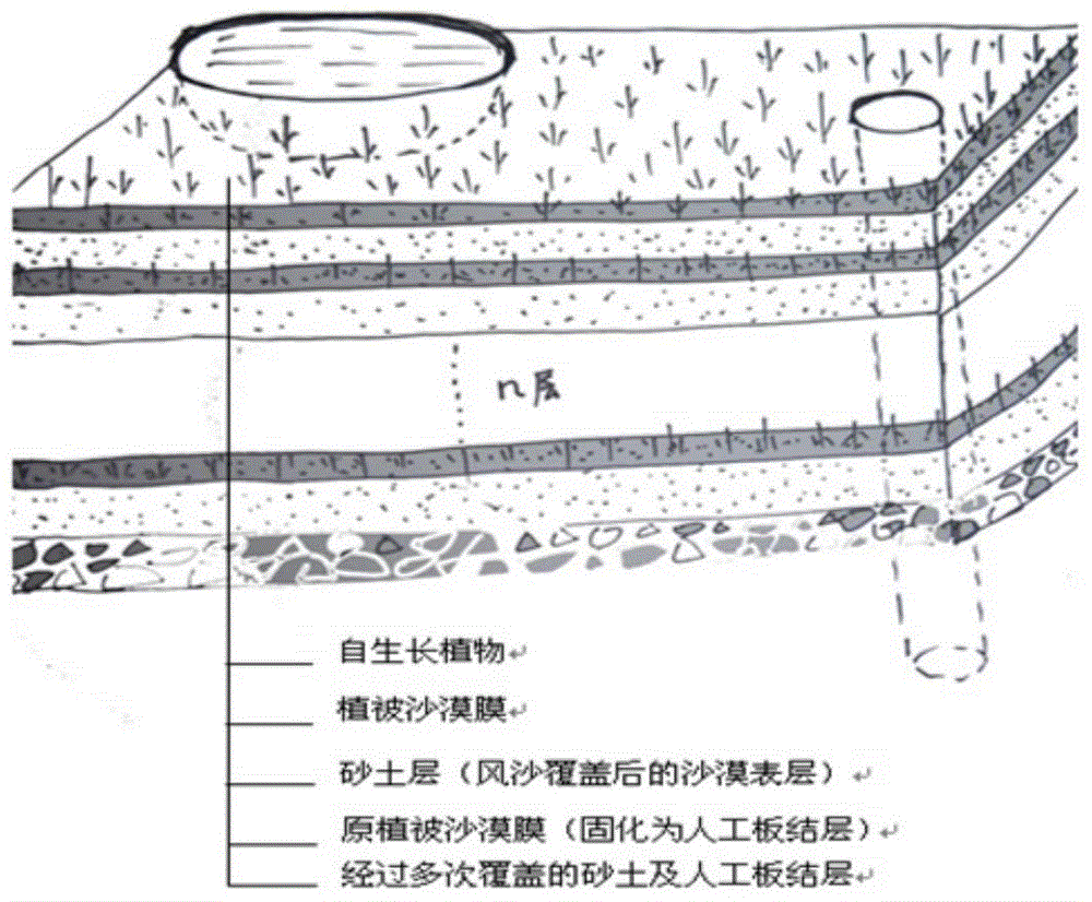 Water-retention and sand-fixing liquid mulching film and preparation method thereof