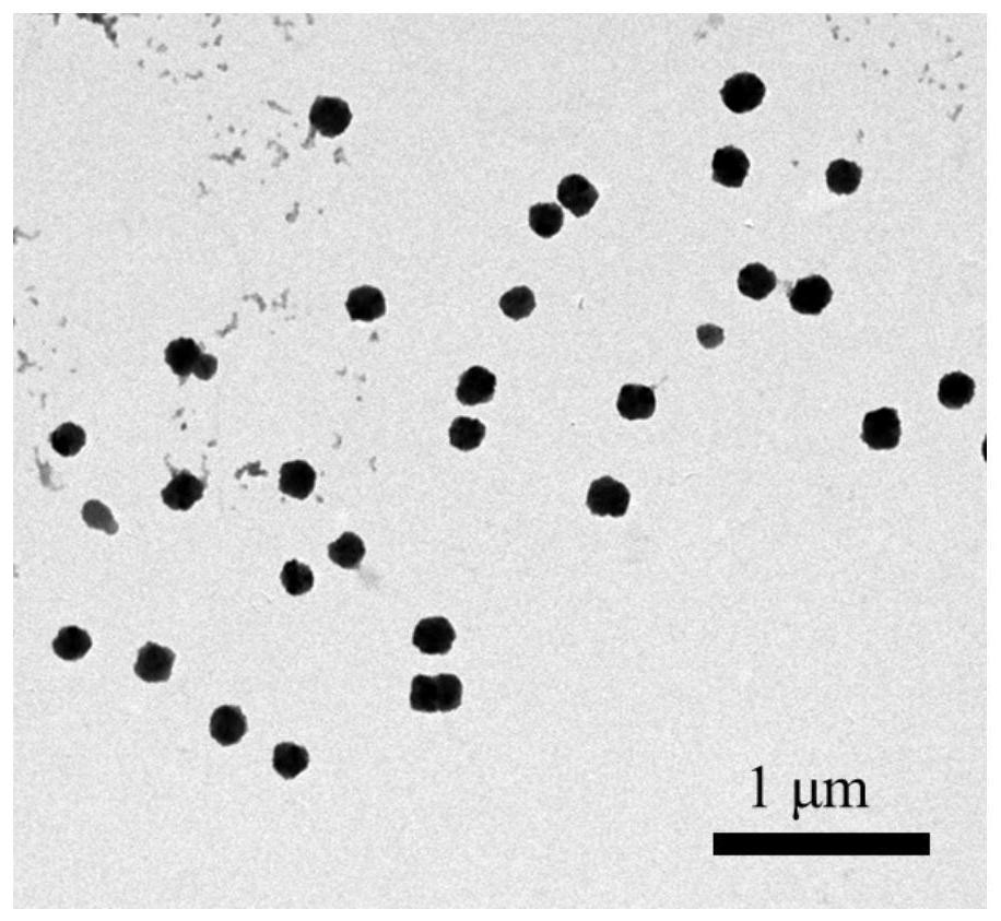 Application of Prussian blue nanoparticles in the preparation of drugs for preventing, delaying or treating neurodegenerative diseases
