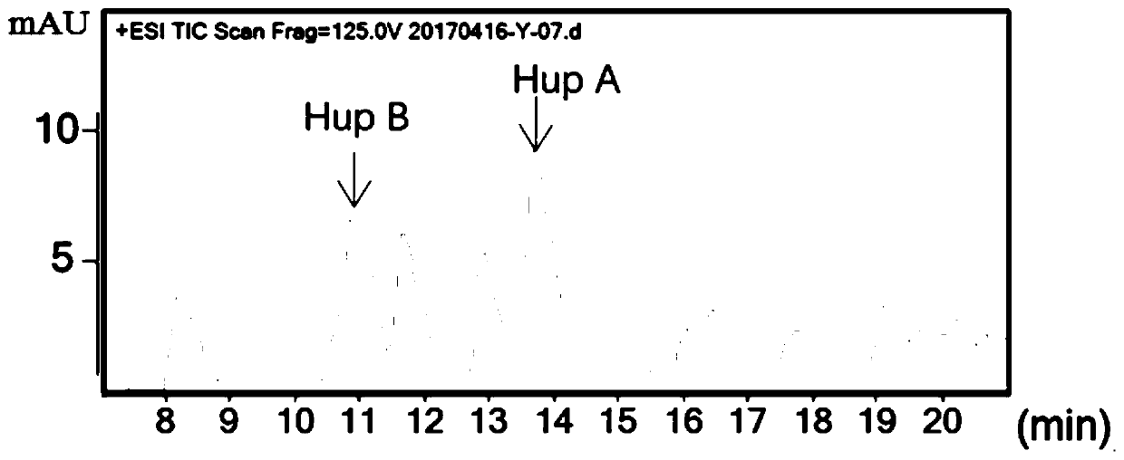 A strain of Enterobacter ludwig sxz-n5 producing huperzine A and huperzine B and its use