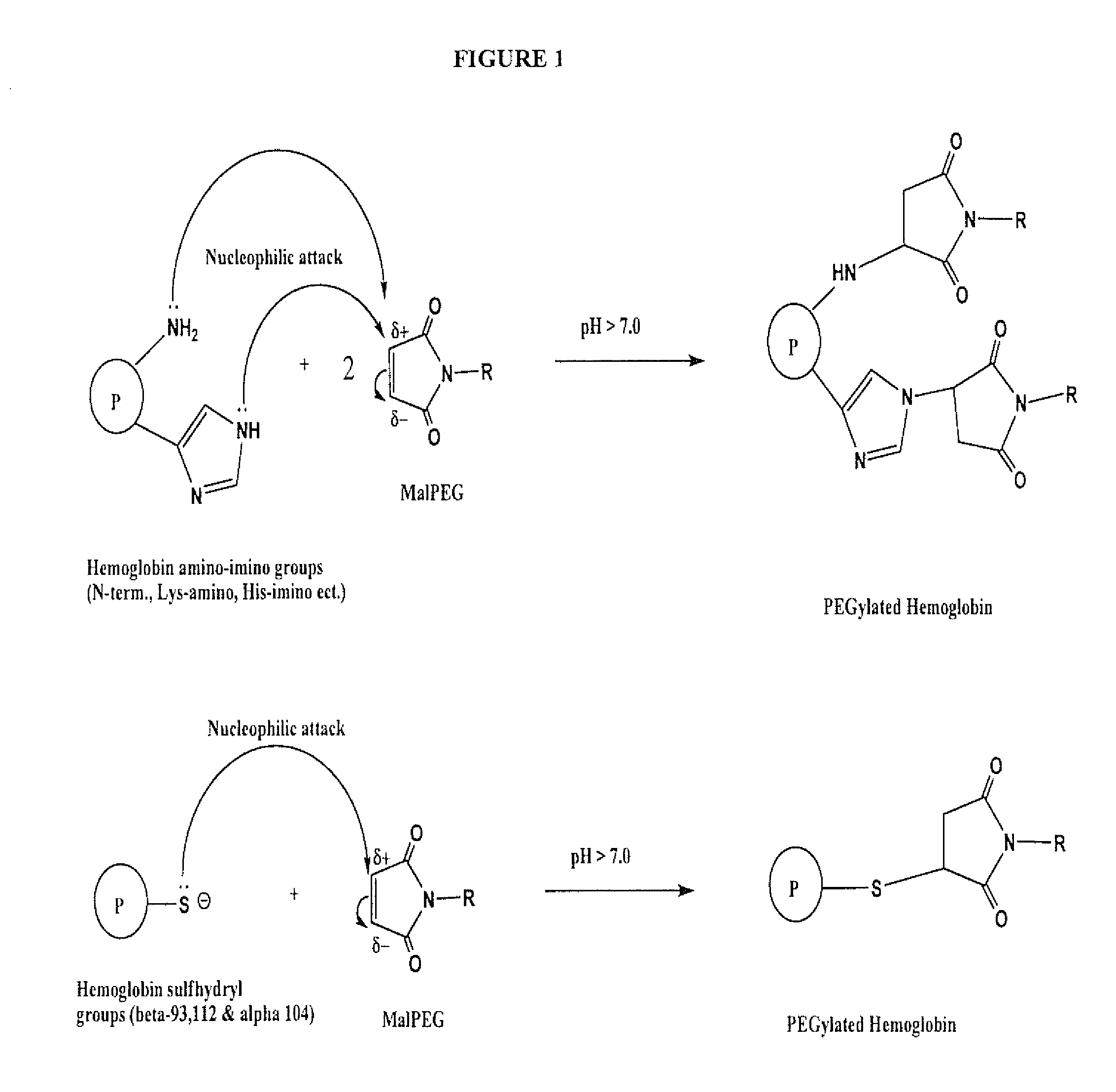Method for making polyalkylene oxide modified hemoglobin