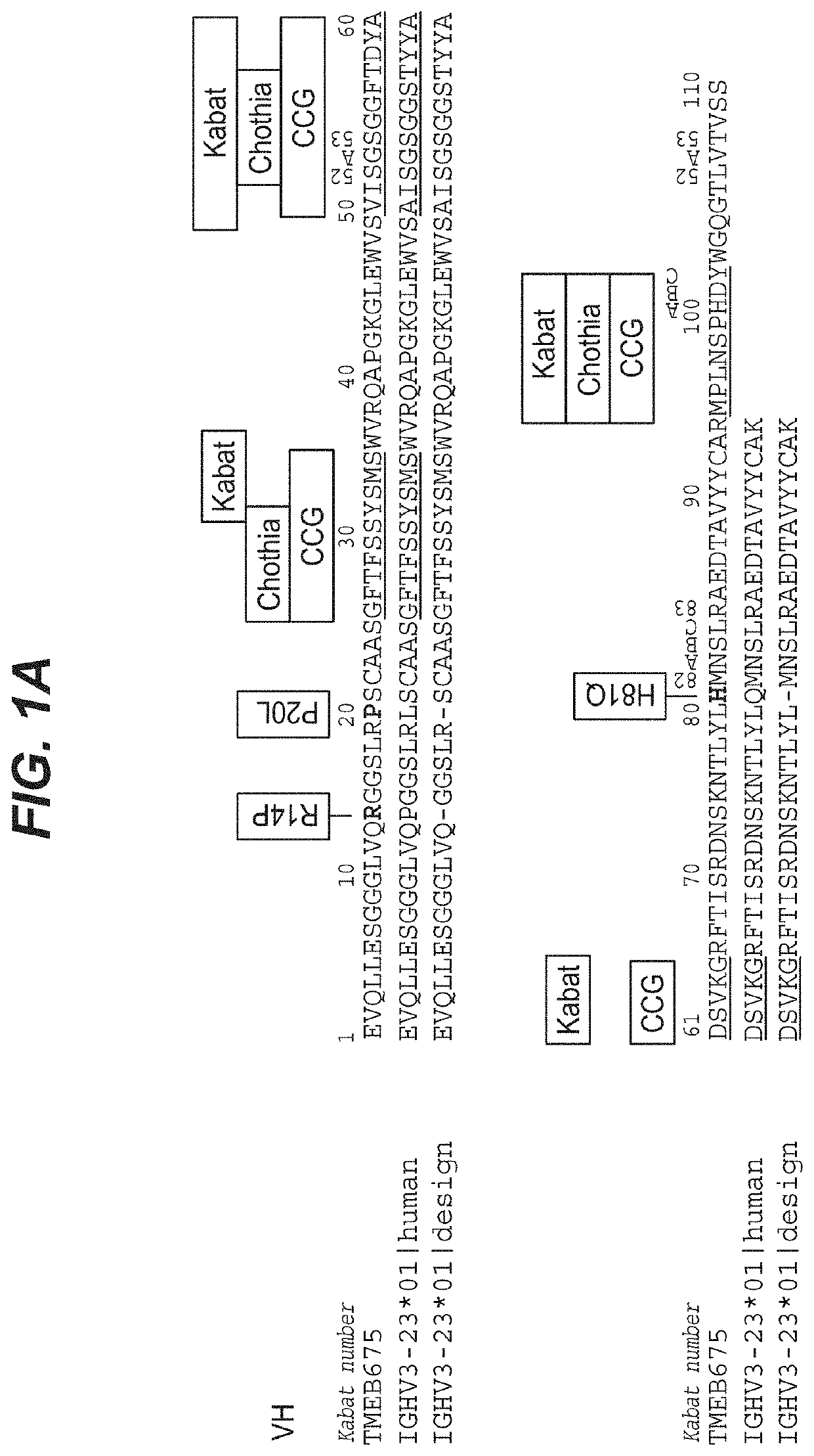 Methods for producing biotherapeutics with increased stability by sequence optimization