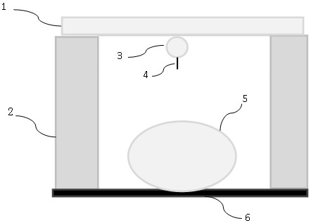 A pressure dressing for hemostasis capable of promoting wound healing