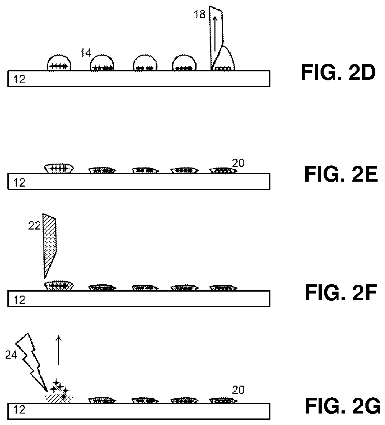 Preparing live microbial samples and microorganisms for subsequent mass spectrometric measurement and evaluation