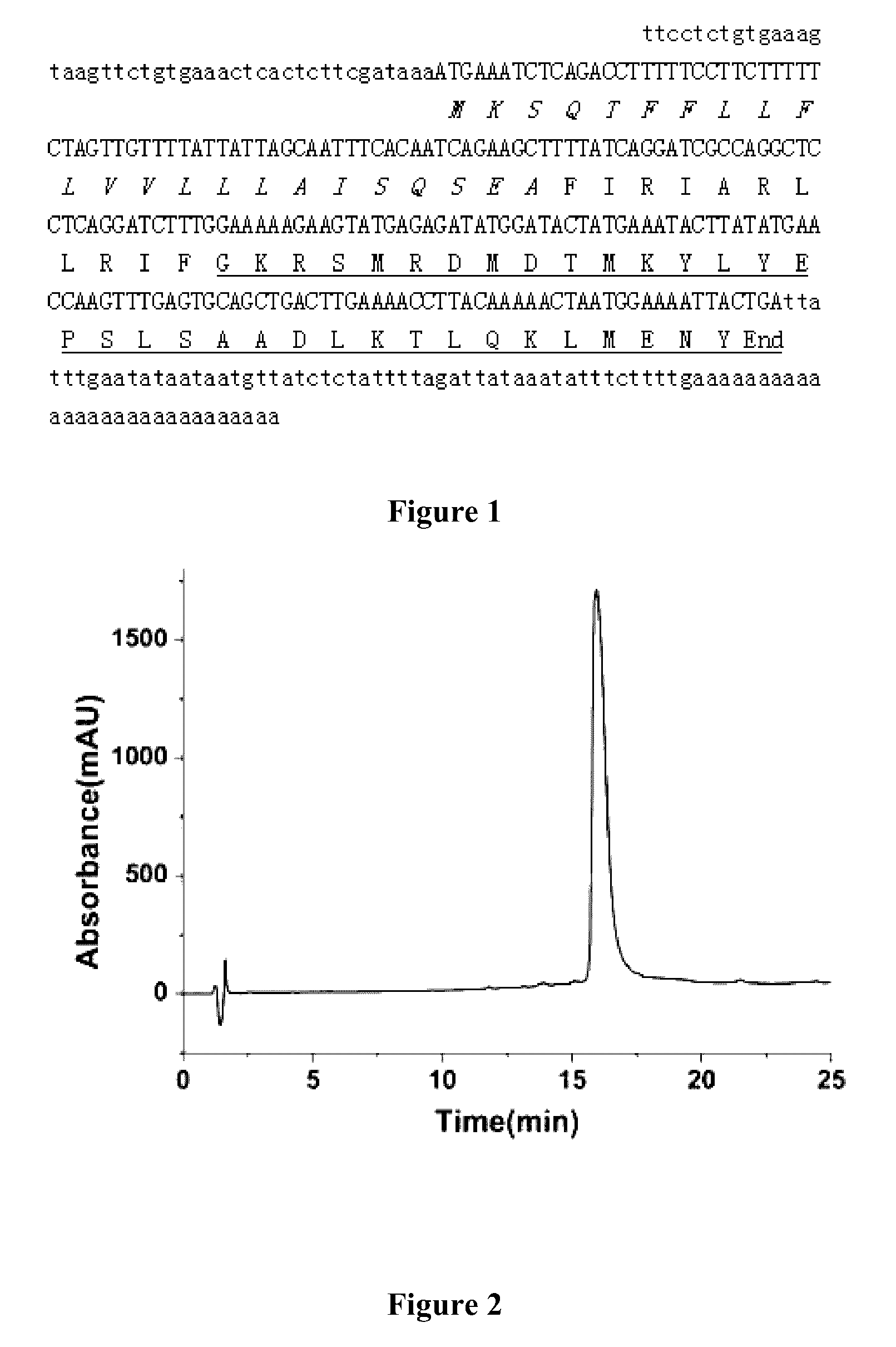 Polypeptide, DNA molecule encoding the polypeptide, vector, preparation method and use