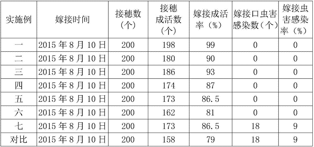 Breeding method of Cercis canadensis