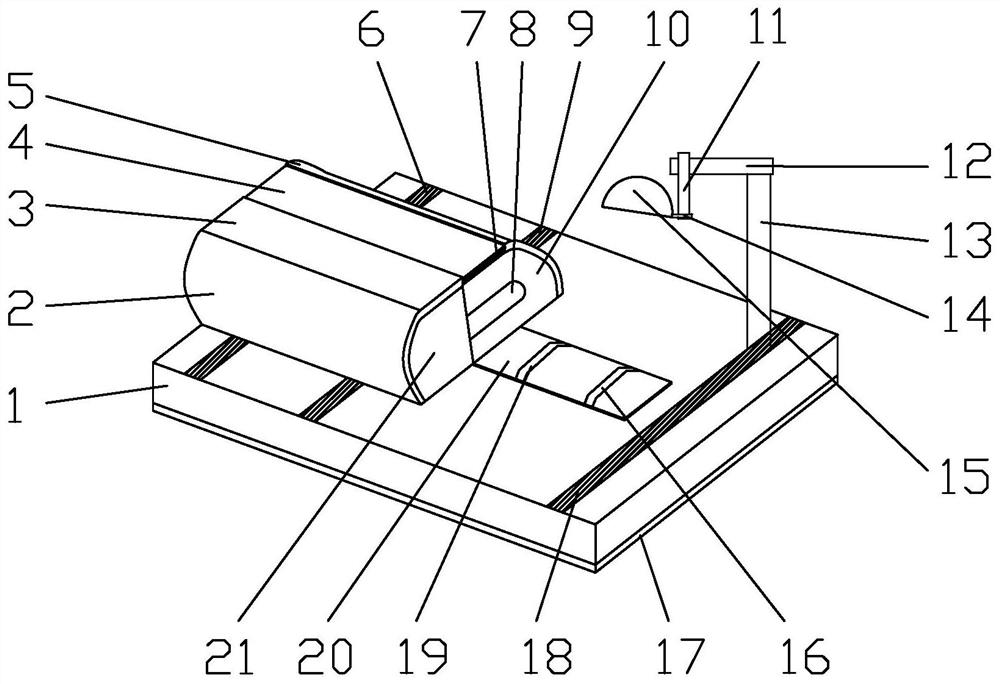 Mouse Tail Vein Blood Collection and Injection Device