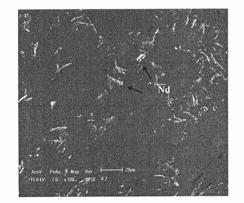 Method for making rare earth elements uniformly distributed on surface of aluminum-silicon alloy