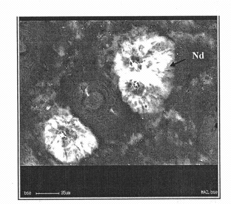 Method for making rare earth elements uniformly distributed on surface of aluminum-silicon alloy