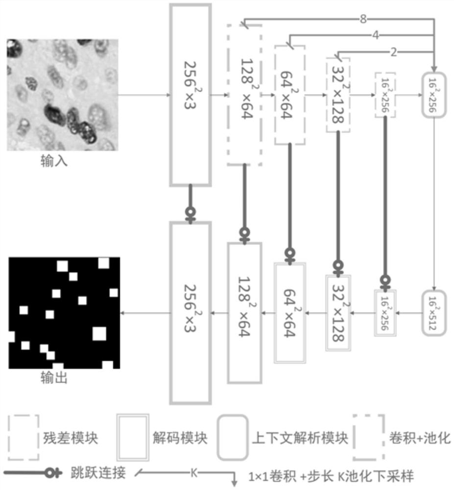 Nuclear staining cell counting method based on deep learning of incomplete marker, computer equipment and storage medium