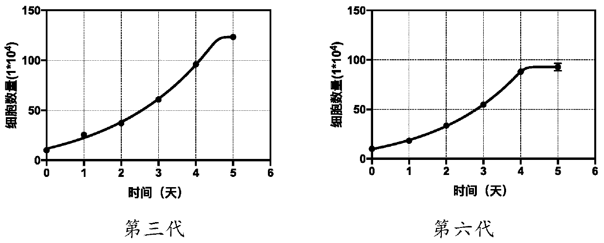 Kidney transplant donor-specific urine source cell and its DNA preparation method and application thereof