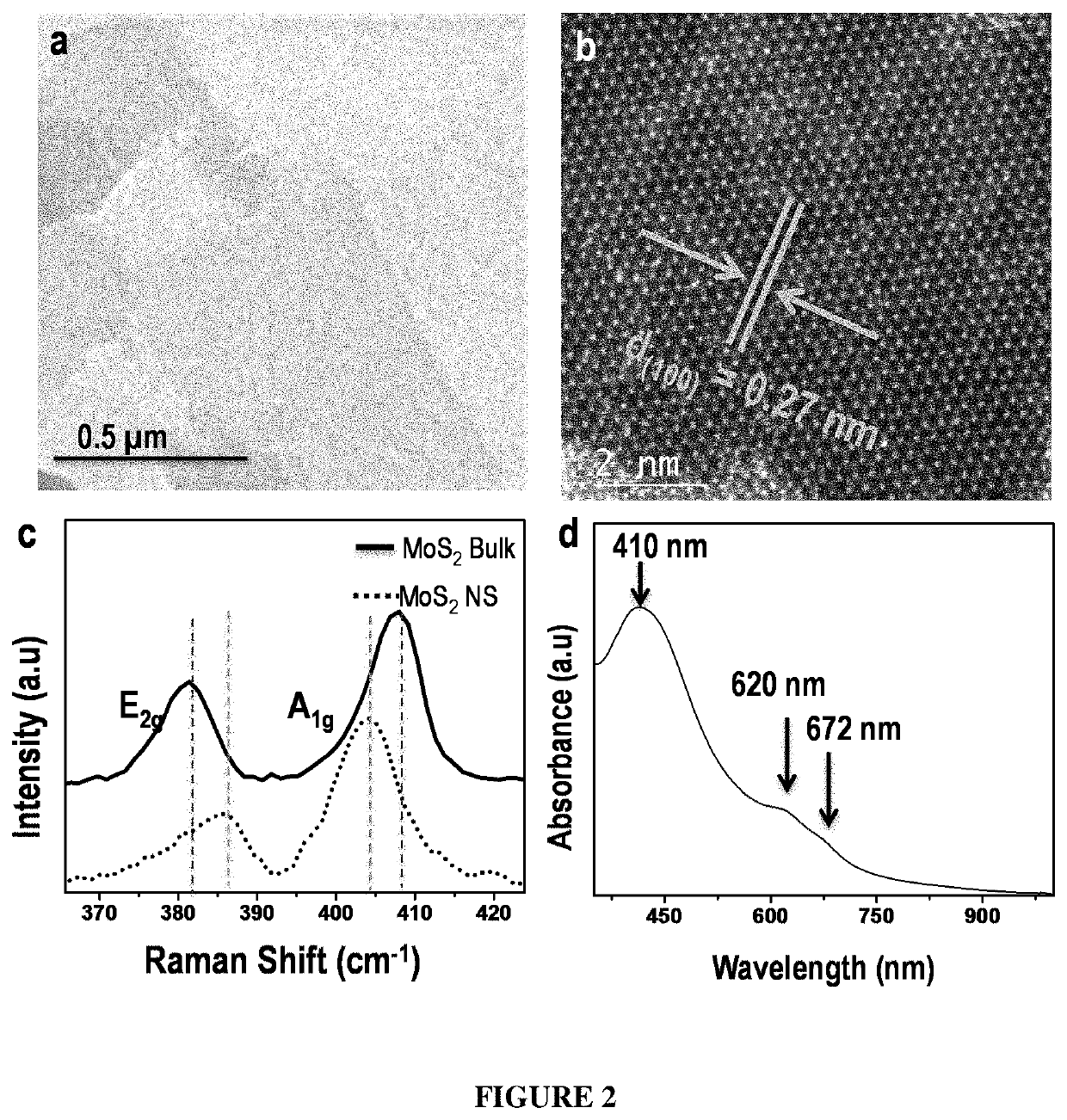 Method for creating nanopores in mos2 nanosheets by chemical drilling for disinfection of water under visible light