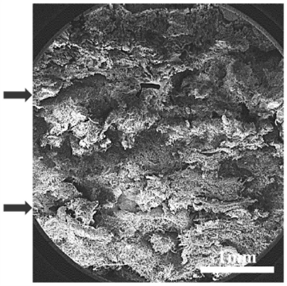 A gradient three-dimensional fiber scaffold for integrated regeneration and repair of soft and hard tissues and its preparation method