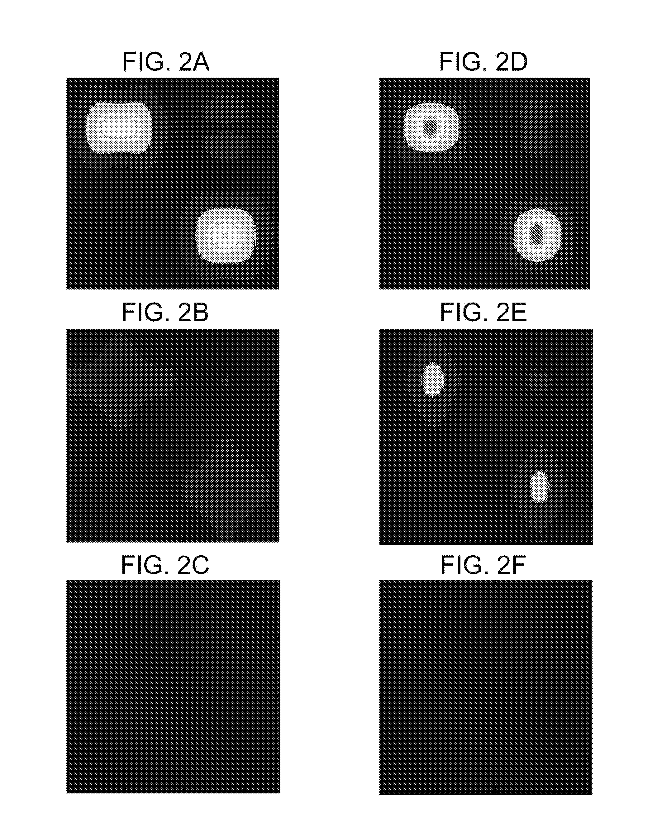Solid-state imaging element and method for manufacturing the same