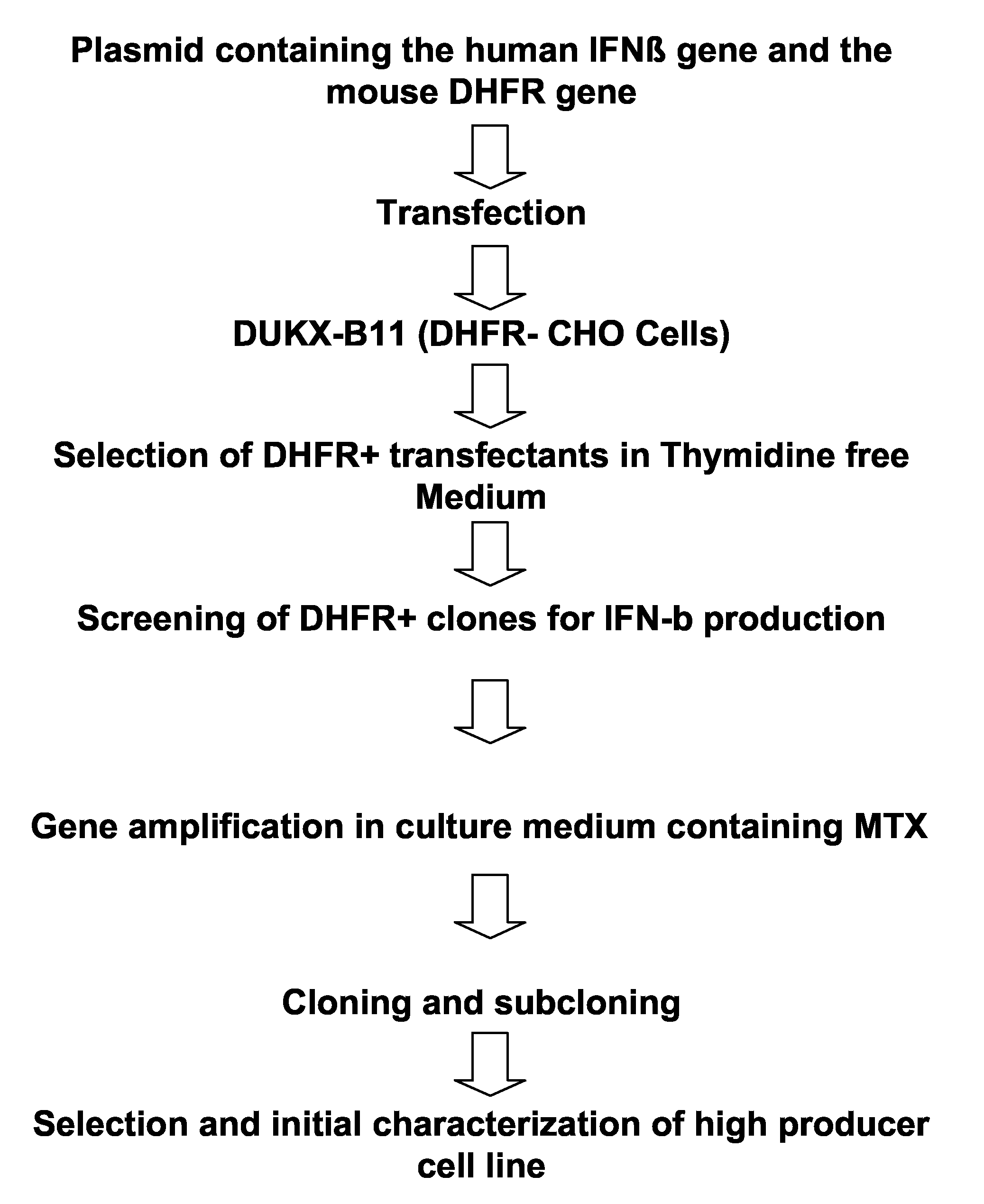 Process For the Preparation of Glycosylated Interferon Beta