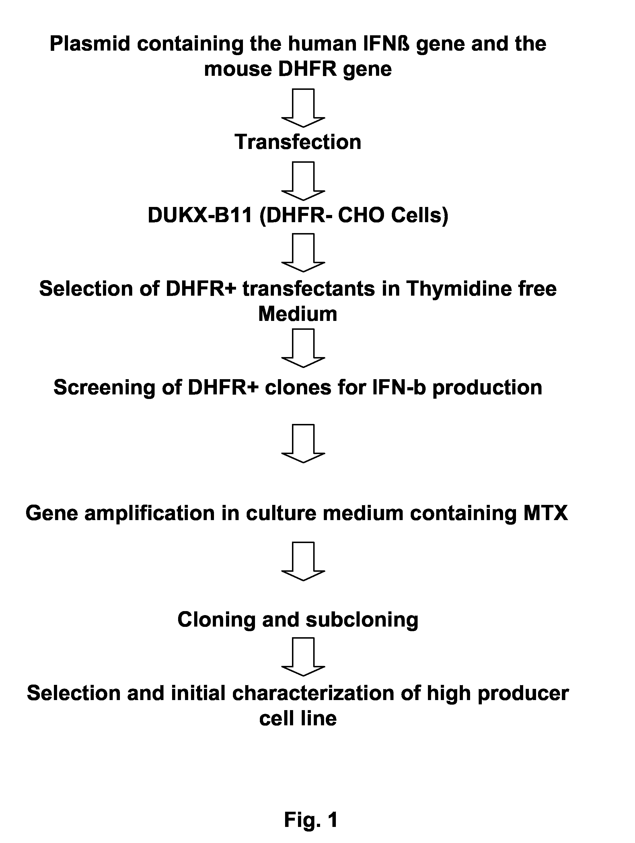 Process For the Preparation of Glycosylated Interferon Beta