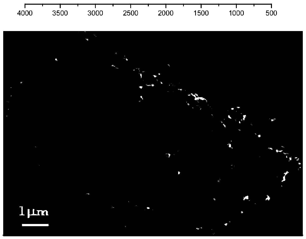 Carbon nanosheet layer loaded TiO2 molecular imprinting material as well as preparation method and application thereof