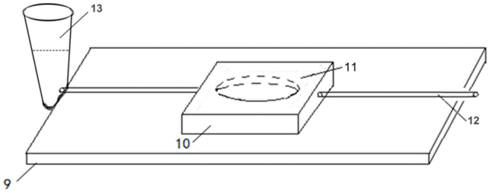 A magnetic tweezers device