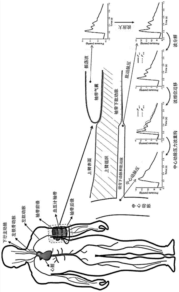 Central aortic pressure detection system and method based on oscillating sphygmomanometer signals
