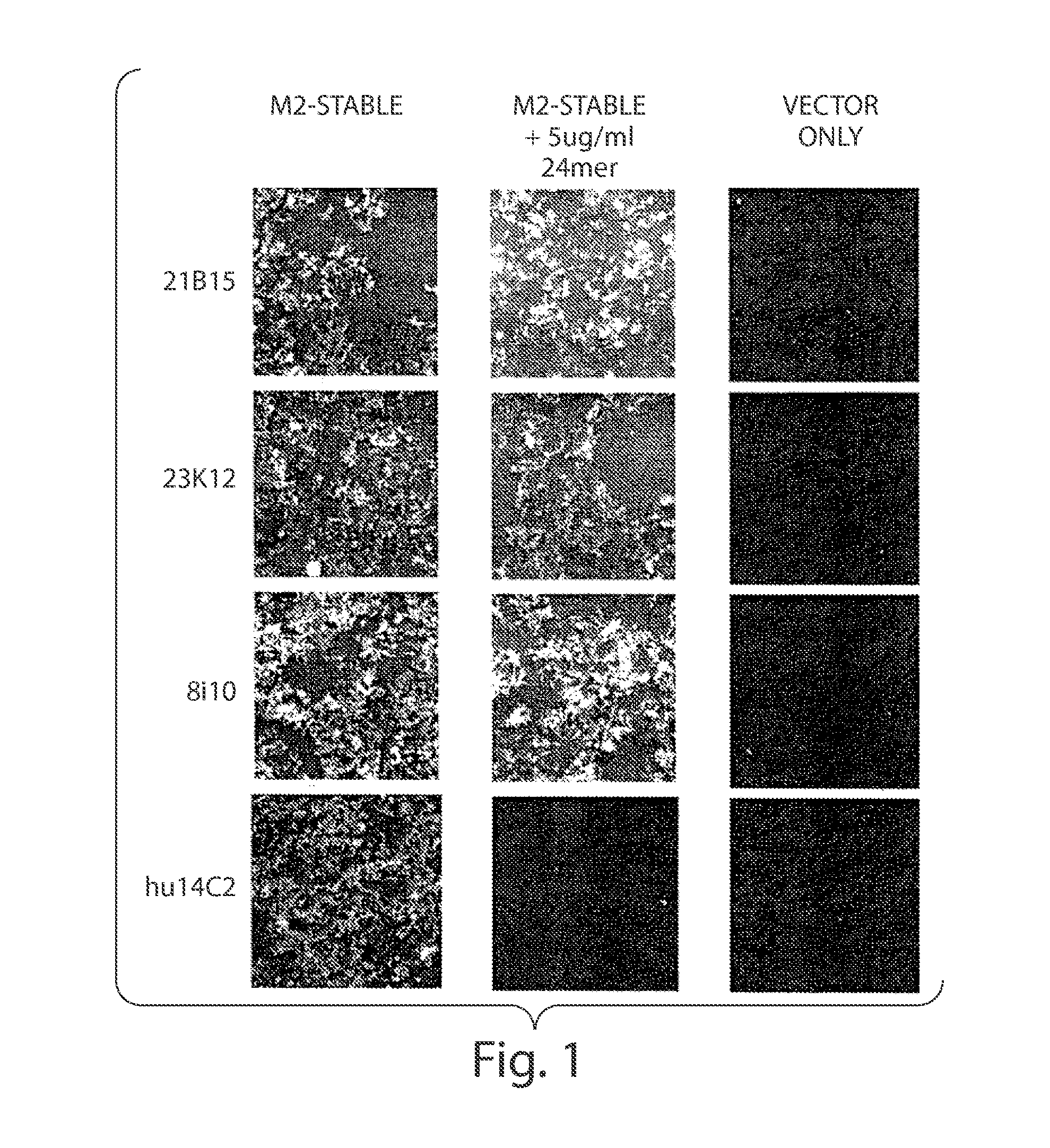 Compositions And Methods For The Therapy And Diagnosis Of Influenza