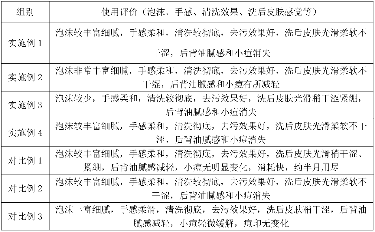 Handmade soap and method for preparing same