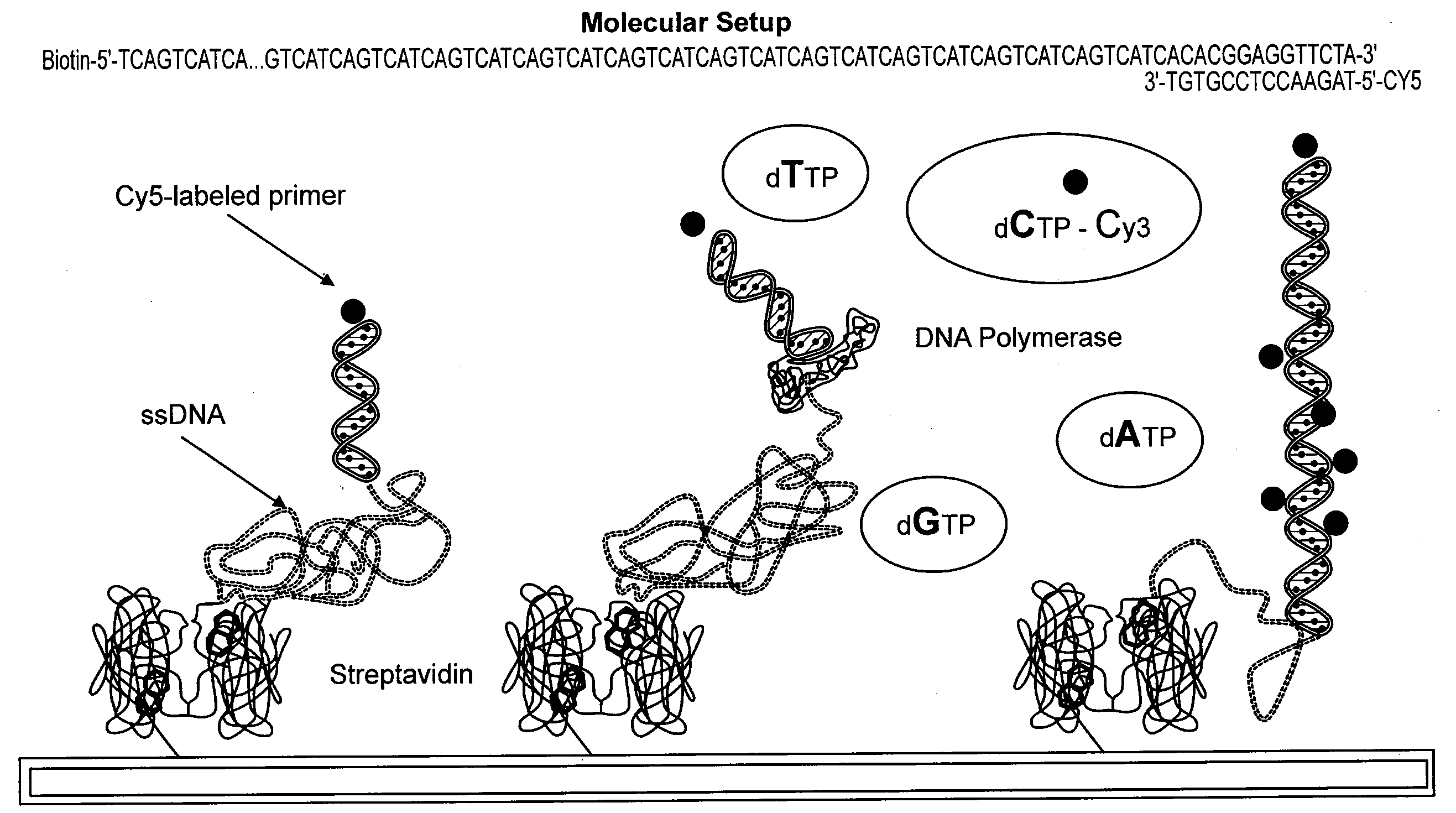 Methods and devices for sequencing nucleic acids