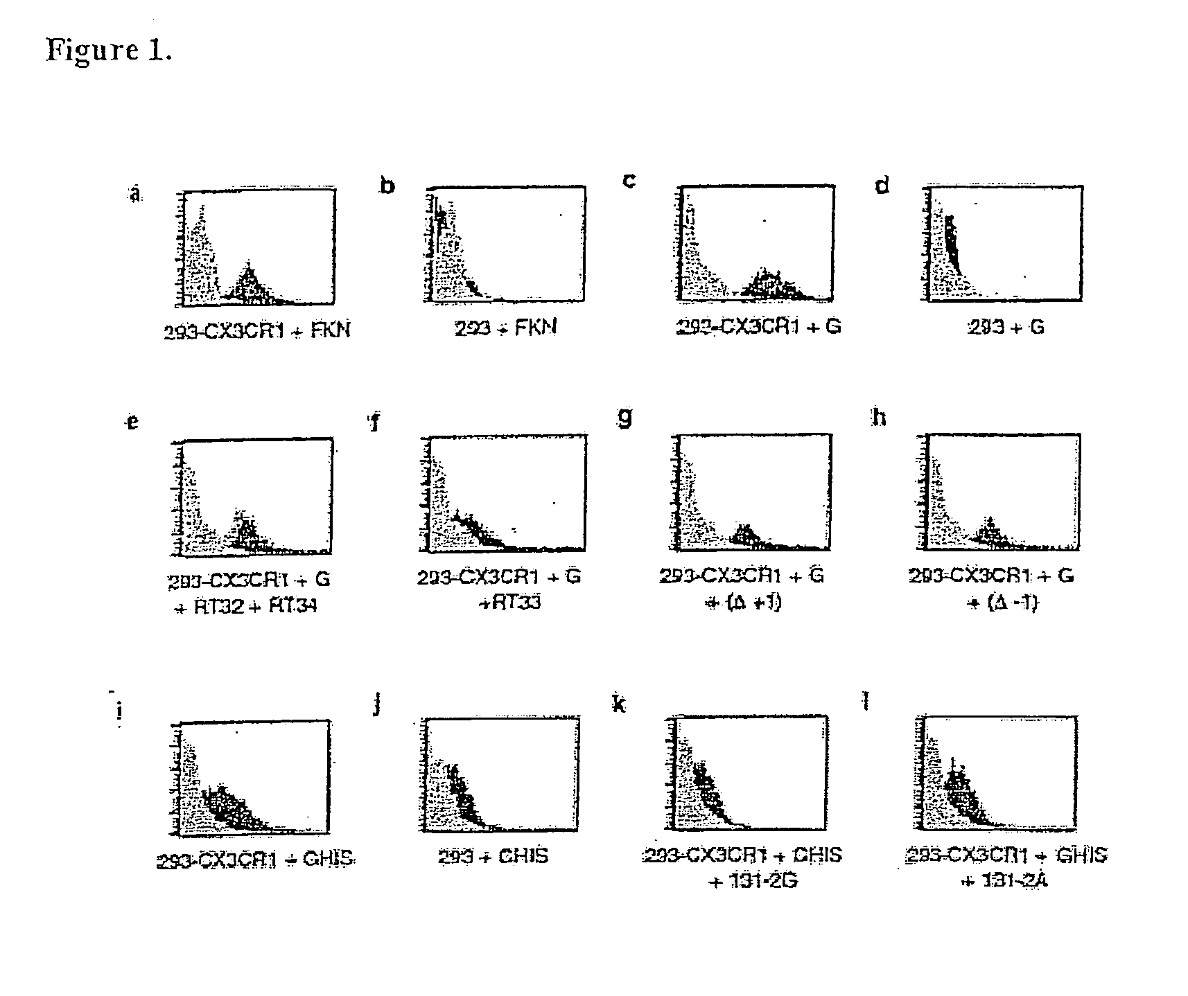 Compositions and methods for modulating RSV infection and immunity