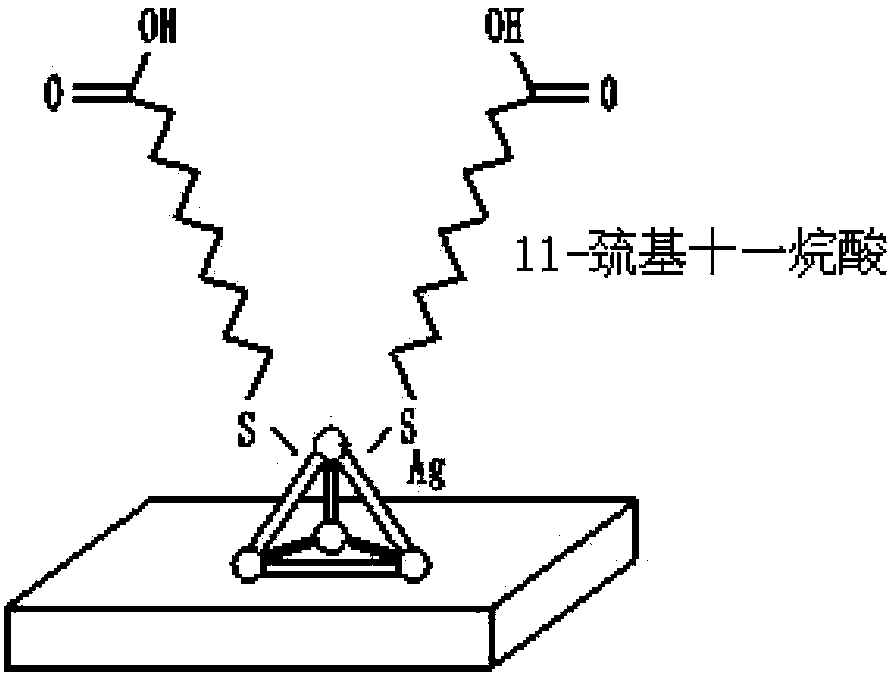 Bio-sensitive chip as well as preparation method and use thereof