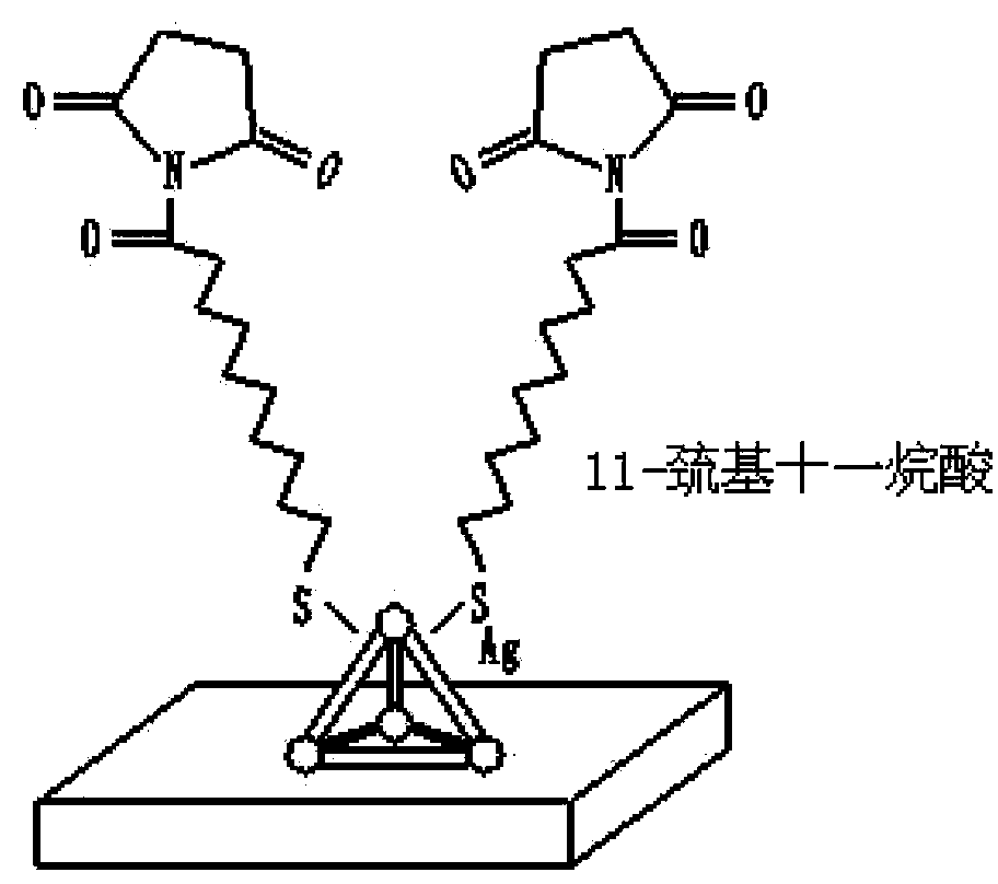 Bio-sensitive chip as well as preparation method and use thereof