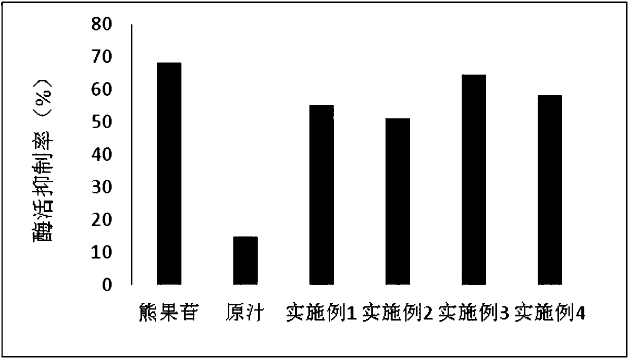 Luffa enzyme mixed liquid and preparation method thereof