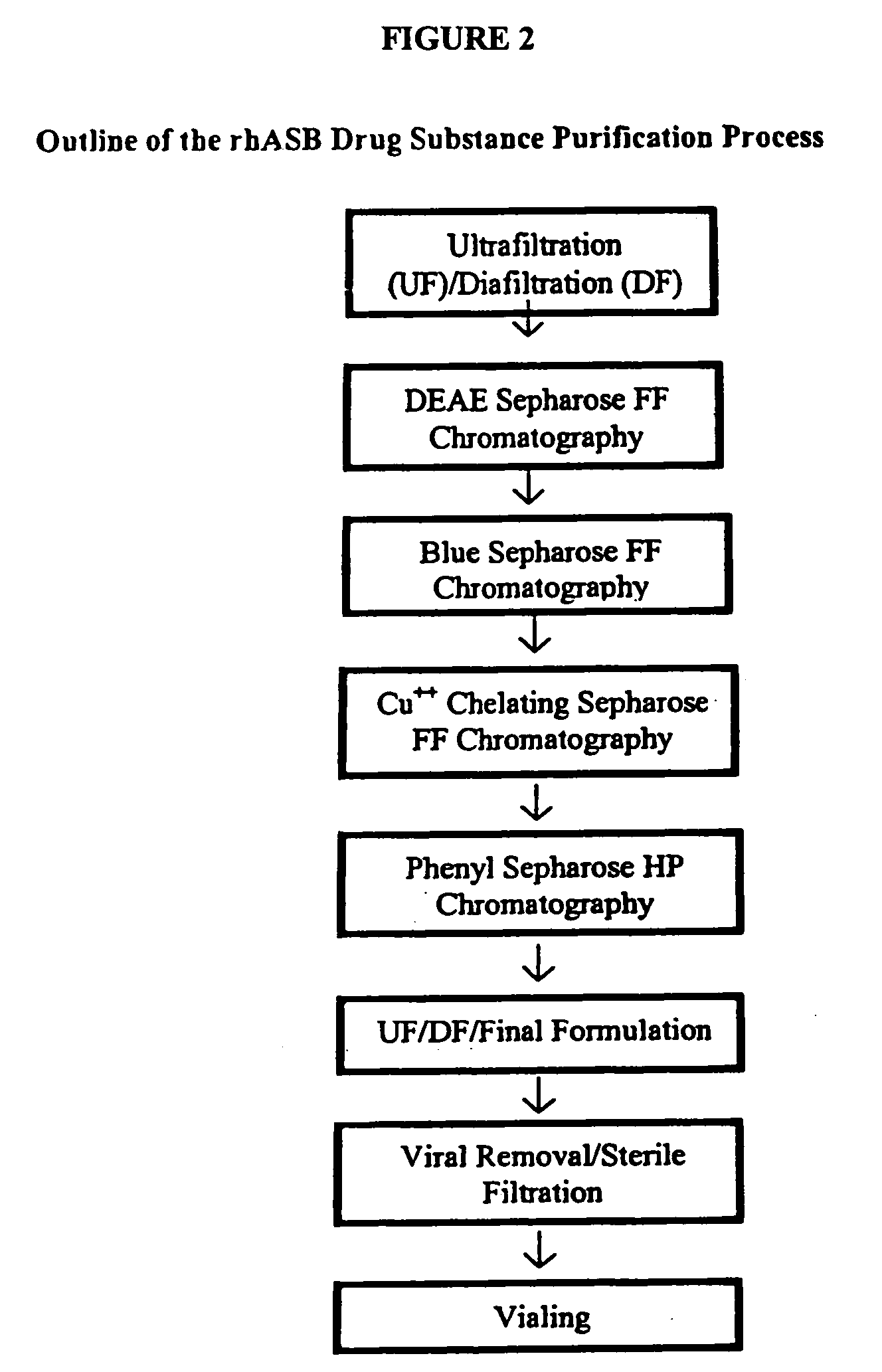 Precursor N-acetylgalactosamine-4 sulfatase, methods of treatment using said enzyme and methods for producing and purifying said enzyme