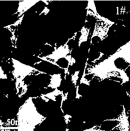 Preparation method of rodlike rutile nano TiO2