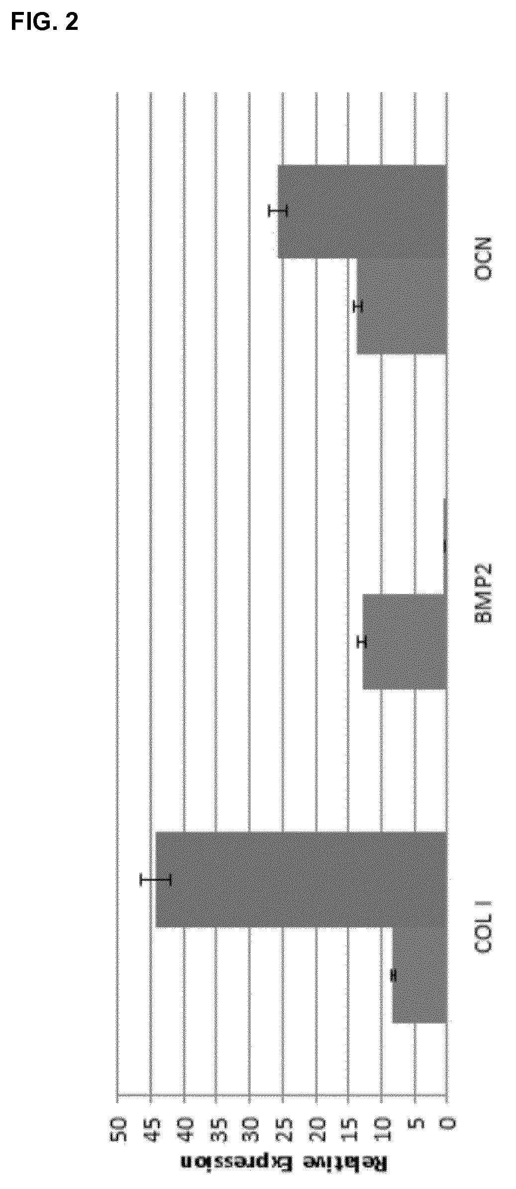 Bone bioactive composition and uses thereof