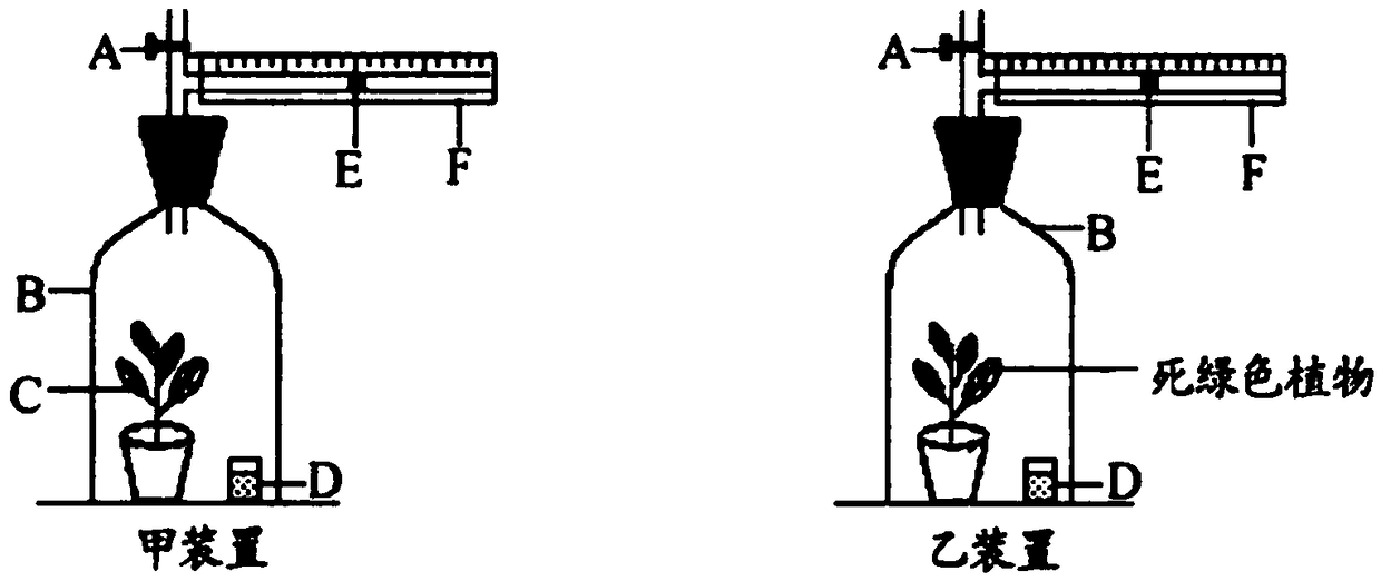 Method for promoting cut-flower Chinese roses to absorb light by using ITO nano particle sol as leaf fertilizer