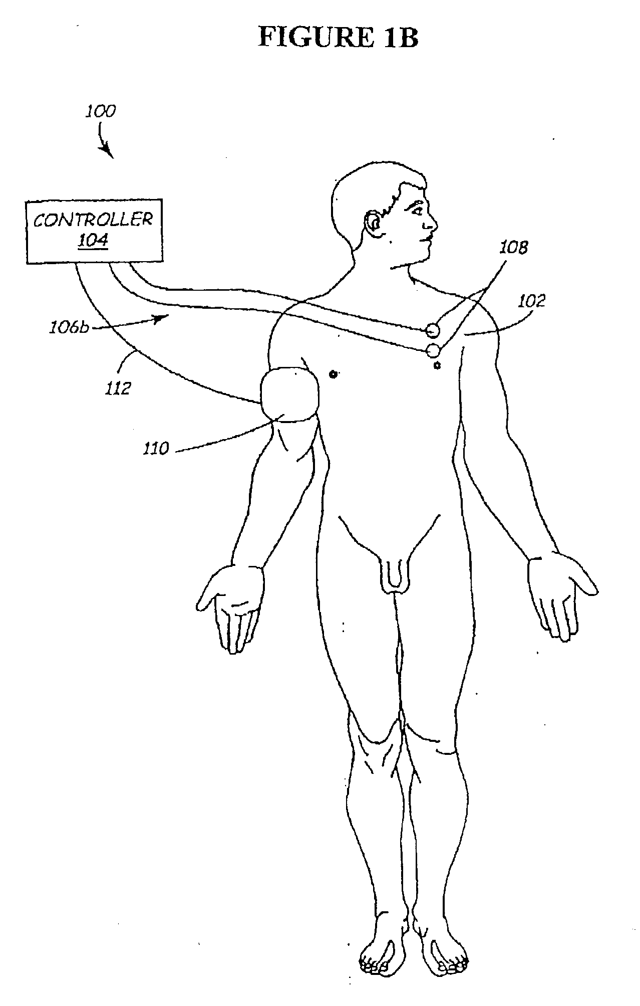 Methods and apparatus for the regulation of hormone release