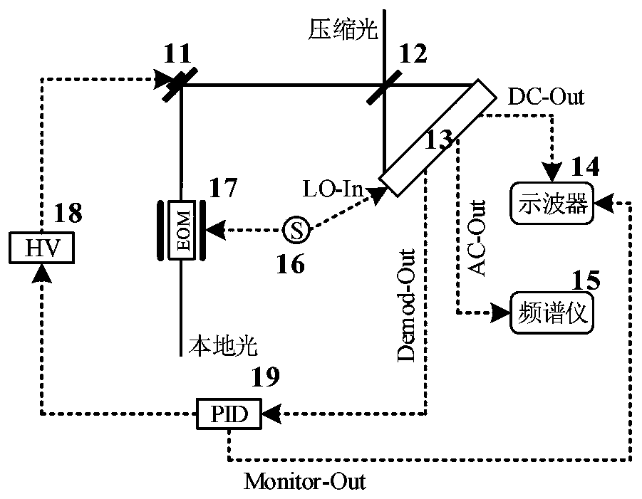 Balanced zero-beat photoelectric detector for integrated locked branch