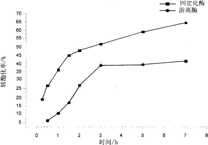 Preparation method of immobilized enzyme by applying amphiphilic porous hollow carbon microspheres