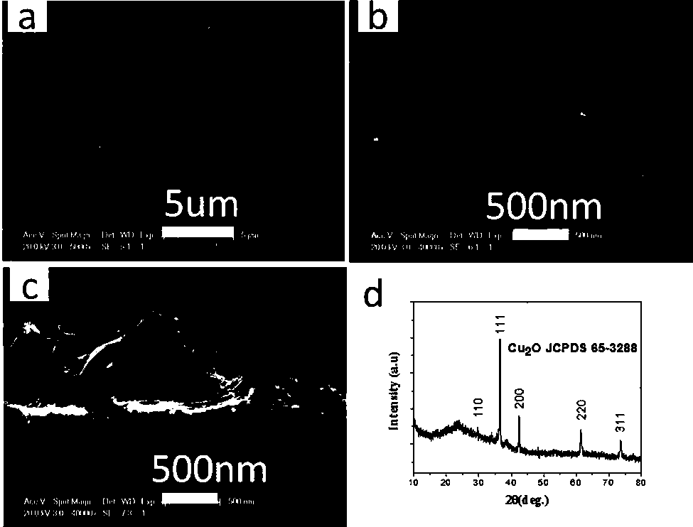 Cuprous oxide nanowire porous film as well as preparation method and application thereof