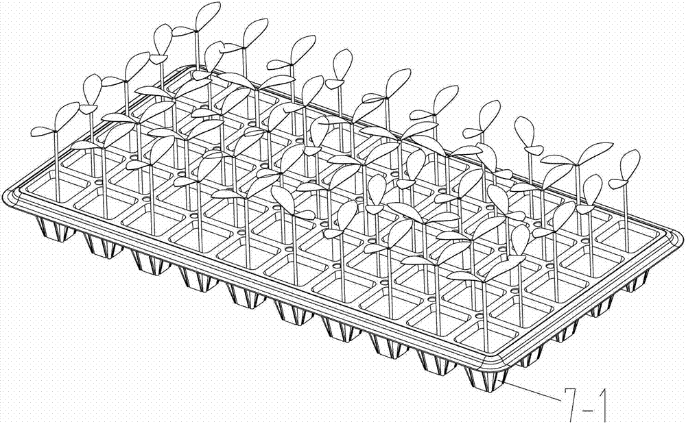 Method and system for measuring external characters of grafted seedlings based on machine vision