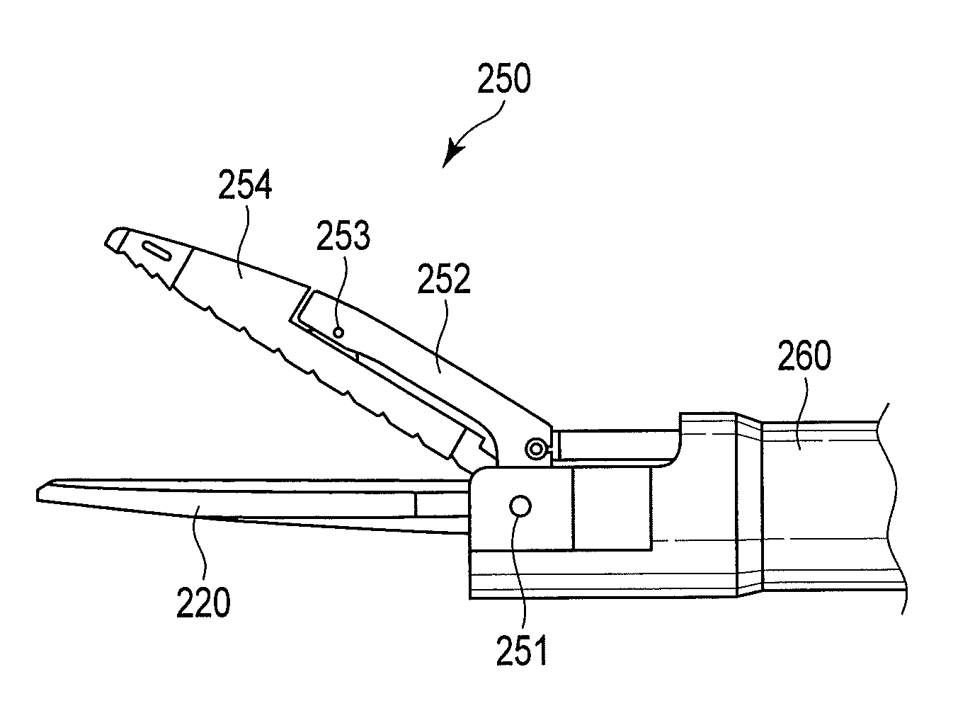 Treatment device